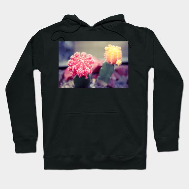 Funny cactuses Hoodie by CreativeJourney